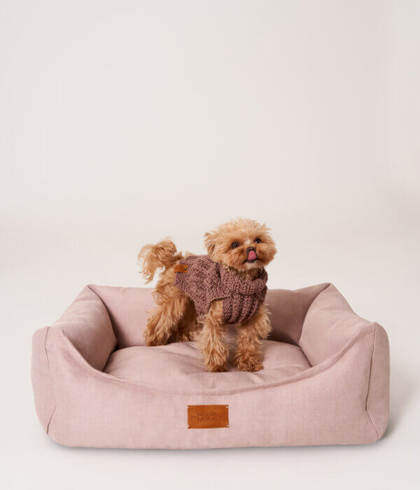 Dogs’ Bed Poudré