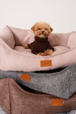 Dogs’ Bed Poudré